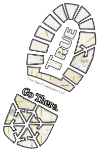 TNLLC logoclear